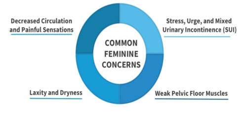 Forma V infograph